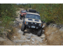 XJ Louvered Hood Panel